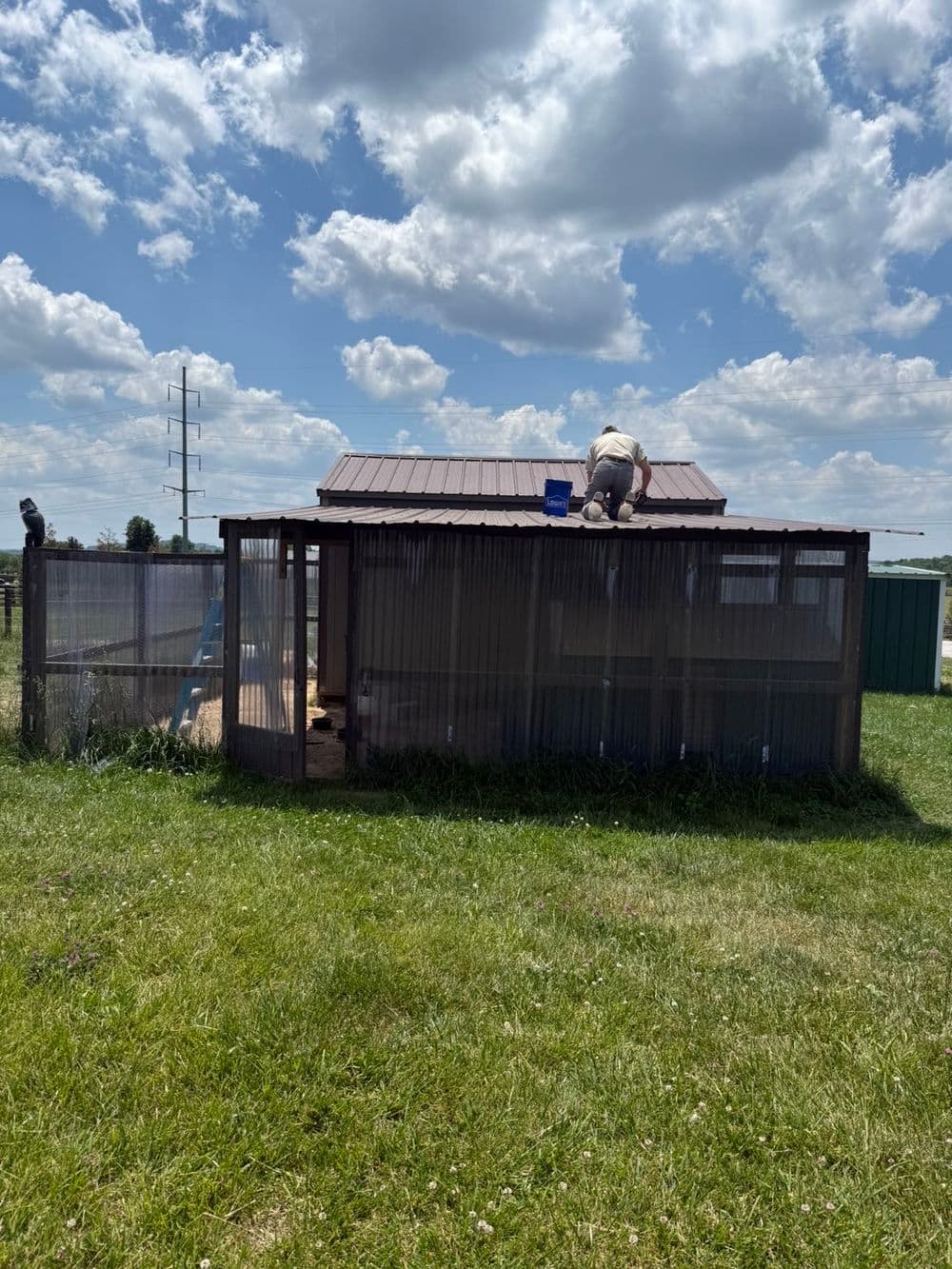Person repairing a chicken coop under a blue sky with fluffy clouds and green grass.