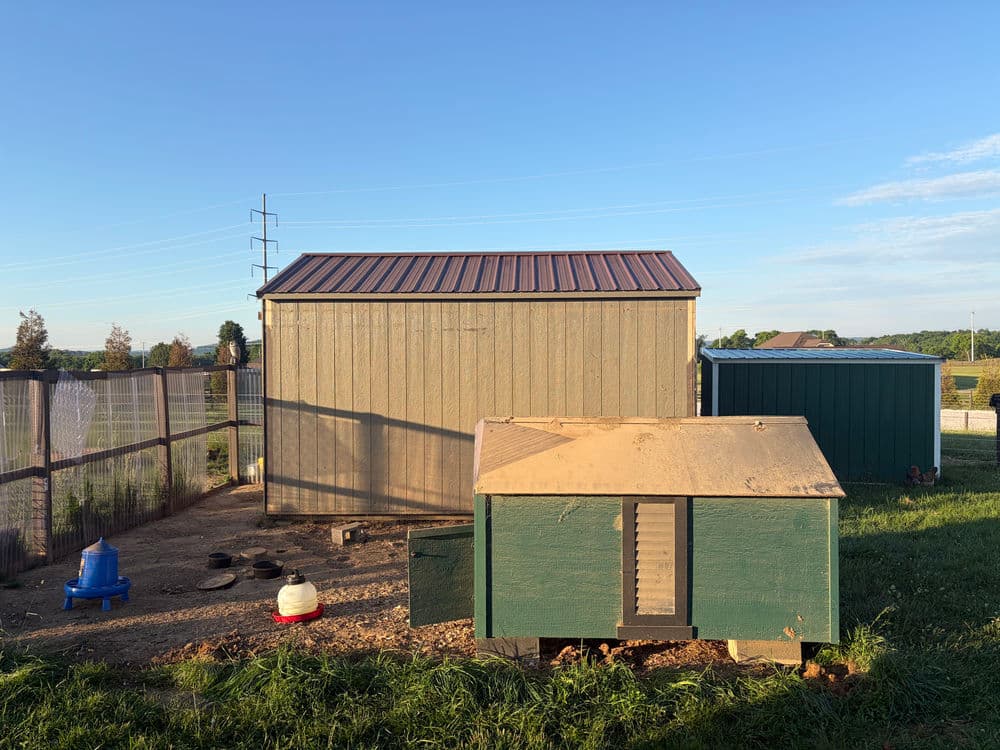 Shed & Outbuilding Removal image